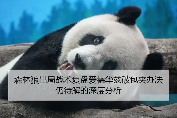 森林狼出局战术复盘爱德华兹破包夹办法仍待解的深度分析