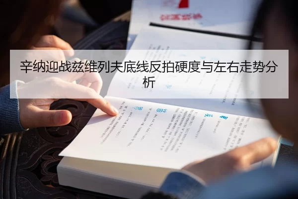 辛纳迎战兹维列夫底线反拍硬度与左右走势分析