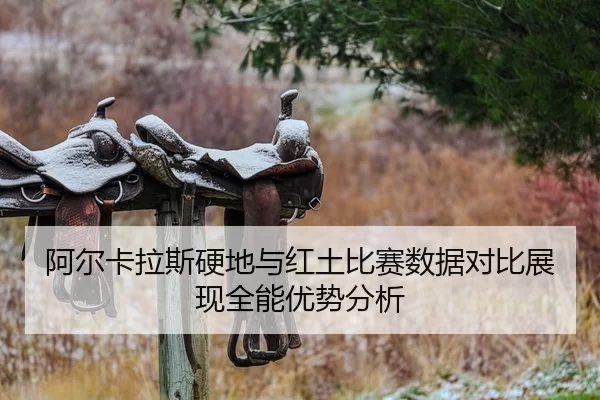 阿尔卡拉斯硬地与红土比赛数据对比展现全能优势分析