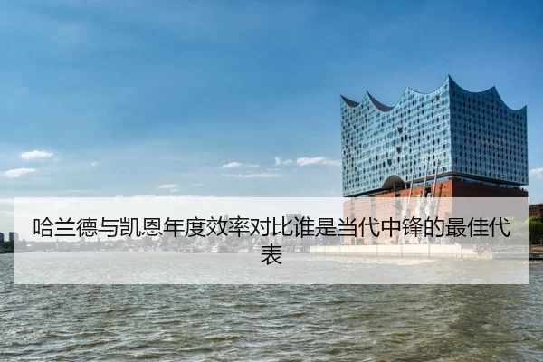 ha-lan-de-yu-kai-en-nian-du-xiao-lv-dui-bi-shui-shi-dang-dai-zhong-feng-de-zui-jia-dai-biao-2-143.jpg
