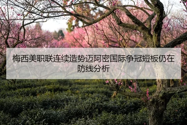 梅西美职联连续造势迈阿密国际争冠短板仍在防线分析