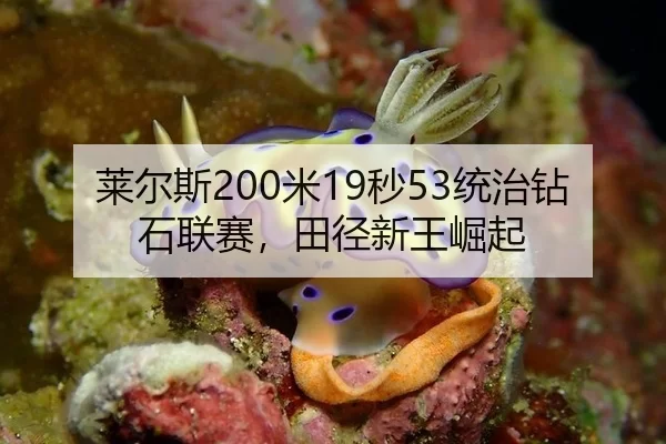 莱尔斯200米19秒53统治钻石联赛，田径新王崛起