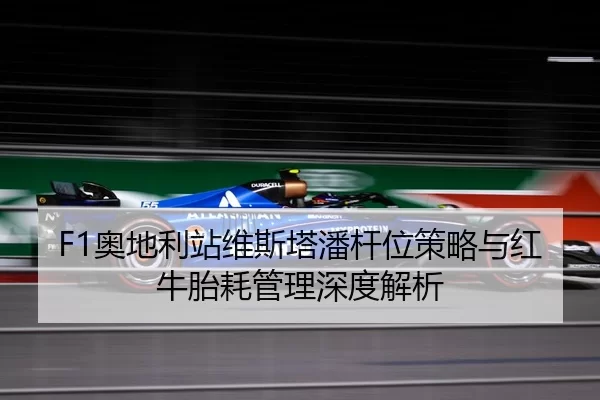 ao-di-li-zhan-wei-si-ta-pan-gan-wei-ce-lve-yu-hong-niu-tai-hao-guan-li-shen-du-jie-xi-2-681.jpg