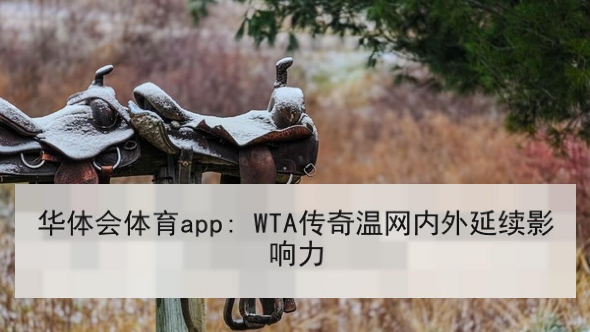 华体会体育app: WTA传奇温网内外延续影响力 华体会体育app: WTA传奇温网内外延续影响力