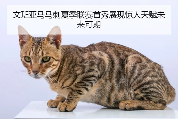 文班亚马马刺夏季联赛首秀展现惊人天赋未来可期