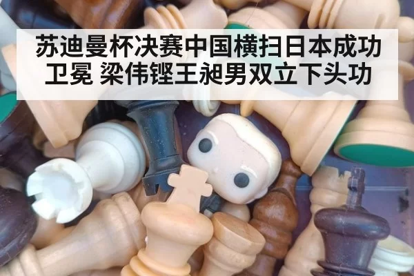 苏迪曼杯决赛中国横扫日本成功卫冕 梁伟铿王昶男双立下头功